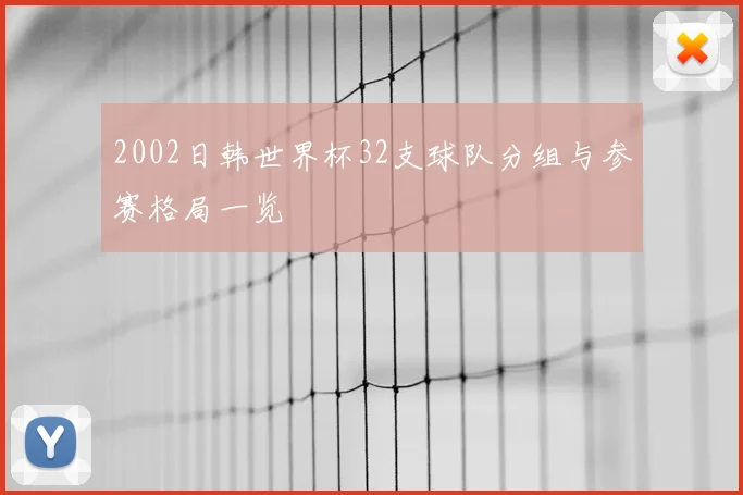 2002日韩世界杯32支球队分组与参赛格局一览
