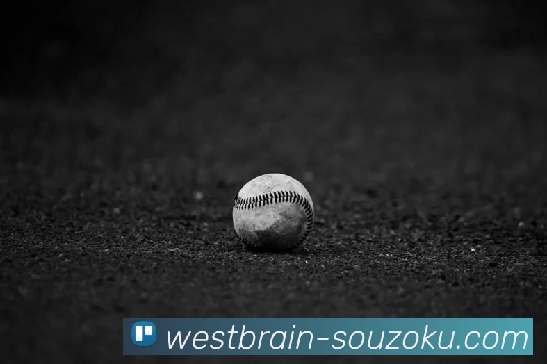 mksports最新消息平台生态图